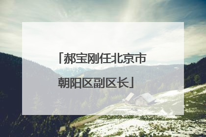 郝宝刚任北京市朝阳区副区长