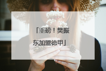 重磅！樊振东加盟德甲