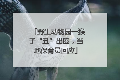 野生动物园一猴子“丑”出圈，当地保育员回应