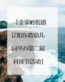 金家岭街道辽阳东路幼儿园举办第二届科技节活动
