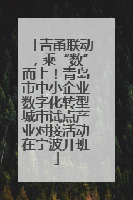青甬联动，乘“数”而上！青岛市中小企业数字化转型城市试点产业对接活动在宁波开班