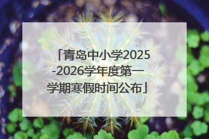 青岛中小学2025-2026学年度第一学期寒假时间公布
