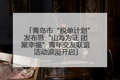 青岛市“脱单计划”发布暨“山海为证 团聚幸福”青年交友联谊活动浪漫开启