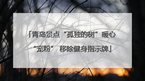 青岛景点“孤独的树”暖心“宠粉” 移除健身指示牌