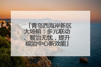 青岛西海岸新区大场镇：多元联动、智治无忧，提升综治中心新效能