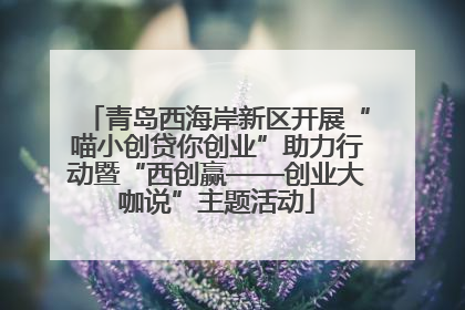 青岛西海岸新区开展“喵小创贷你创业”助力行动暨“西创赢——创业大咖说”主题活动