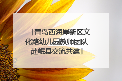 青岛西海岸新区文化路幼儿园教师团队赴岷县交流共建