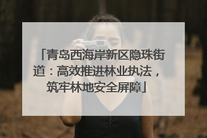 青岛西海岸新区隐珠街道：高效推进林业执法，筑牢林地安全屏障