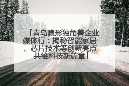 青岛隐形独角兽企业媒体行：揭秘智能家居、芯片技术等创新亮点 共绘科技新篇章