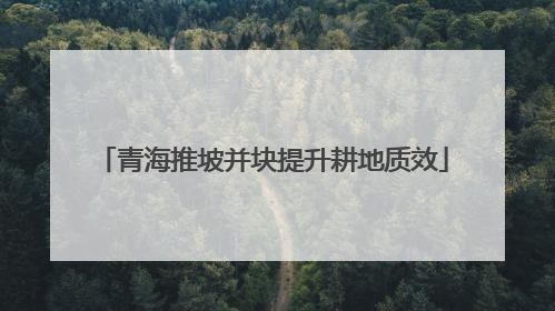 青海推坡并块提升耕地质效