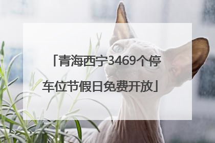 青海西宁3469个停车位节假日免费开放