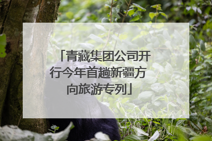 青藏集团公司开行今年首趟新疆方向旅游专列