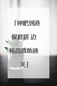 钾肥到港保夏耕 边检高效助通关