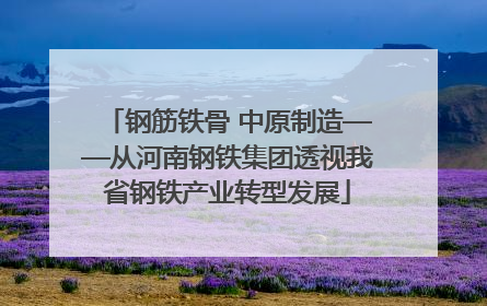 钢筋铁骨 中原制造——从河南钢铁集团透视我省钢铁产业转型发展