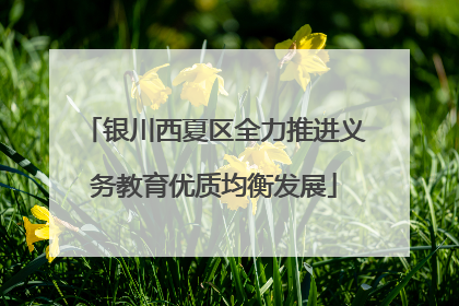 银川西夏区全力推进义务教育优质均衡发展