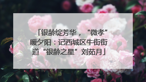 银龄绽芳华，“微孝”暖夕阳：记西城区牛街街道“银龄之星”刘茹月