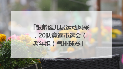 银龄健儿展运动风采，20队竞逐市运会（老年组）气排球赛