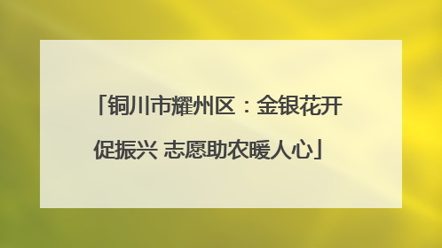 铜川市耀州区：金银花开促振兴 志愿助农暖人心