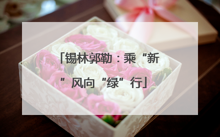 锡林郭勒：乘“新”风向“绿”行