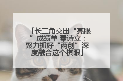 长三角交出“亮眼”成绩单 秦诗立：聚力抓好“两创”深度融合这个棋眼
