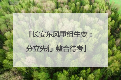 长安东风重组生变：分立先行 整合待考