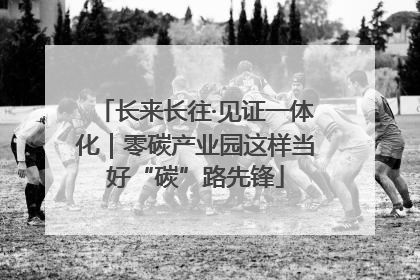 长来长往·见证一体化｜零碳产业园这样当好“碳”路先锋