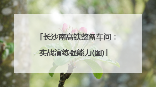 长沙南高铁整备车间：实战演练强能力(图)