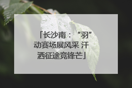 长沙南：“羽”动赛场展风采 汗洒征途竞锋芒