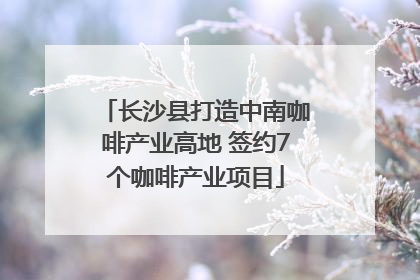 长沙县打造中南咖啡产业高地 签约7个咖啡产业项目