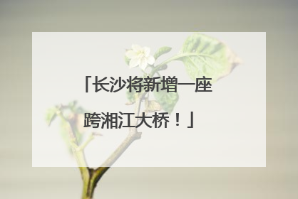 长沙将新增一座跨湘江大桥！