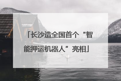 长沙造全国首个“智能押运机器人”亮相