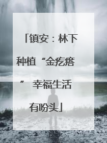 镇安：林下种植“金疙瘩” 幸福生活有盼头