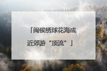 闽侯绣球花海成近郊游“顶流”