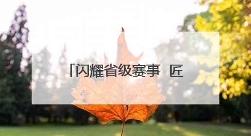 闪耀省级赛事  匠心技艺斩获多项殊荣