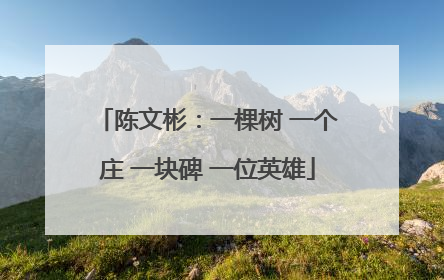 陈文彬：一棵树 一个庄 一块碑 一位英雄