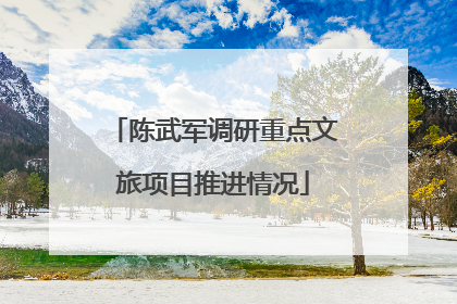 陈武军调研重点文旅项目推进情况