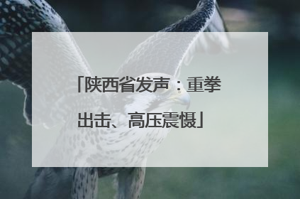 陕西省发声：重拳出击、高压震慑