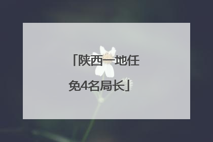 陕西一地任免4名局长