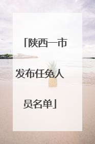 陕西一市发布任免人员名单