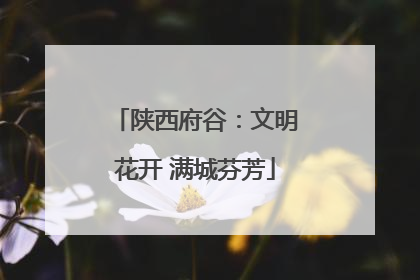 陕西府谷：文明花开 满城芬芳
