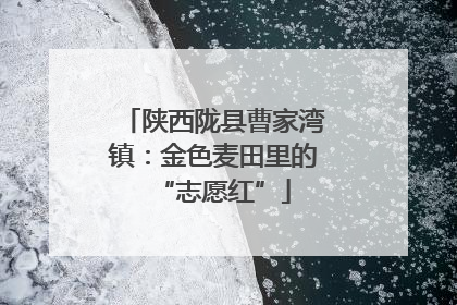 陕西陇县曹家湾镇：金色麦田里的“志愿红”