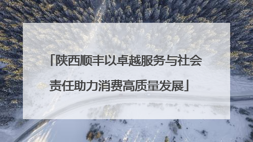 陕西顺丰以卓越服务与社会责任助力消费高质量发展