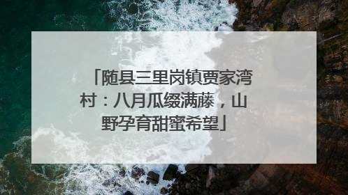 随县三里岗镇贾家湾村：八月瓜缀满藤，山野孕育甜蜜希望