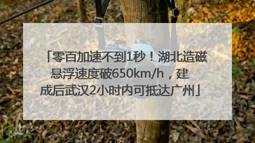 零百加速不到1秒！湖北造磁悬浮速度破650km/h，建成后武汉2小时内可抵达广州