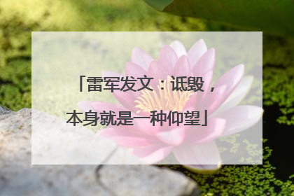 雷军发文：诋毁，本身就是一种仰望