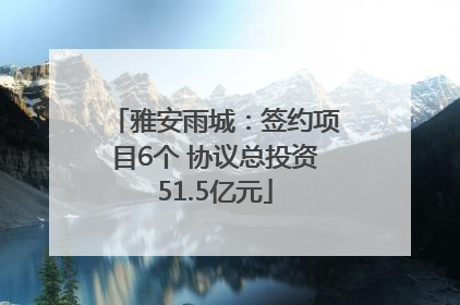 雅安雨城：签约项目6个 协议总投资51.5亿元