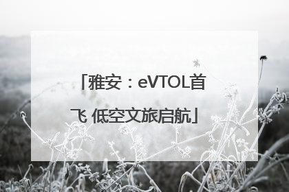 雅安：eVTOL首飞 低空文旅启航