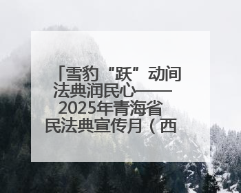 雪豹“跃”动间 法典润民心——2025年青海省民法典宣传月（西宁地区）主场活动见闻