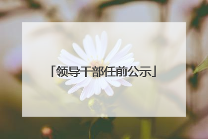 领导干部任前公示