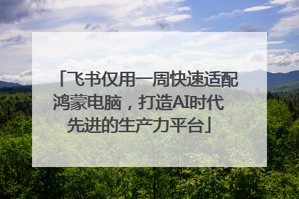 飞书仅用一周快速适配鸿蒙电脑，打造AI时代先进的生产力平台